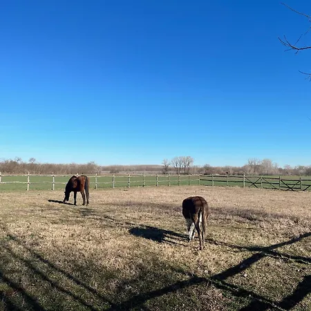 Reichelhausen Vendeghaz Apartment Kiskunhalas